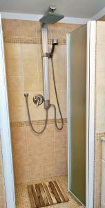 a shower with a shower head in a bathroom at La Casa di Francesco in Perugia