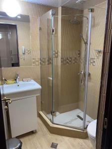 W łazience znajduje się prysznic, umywalka i toaleta. w obiekcie Villa ReTa Hotel & SPA w mieście Grigoleti