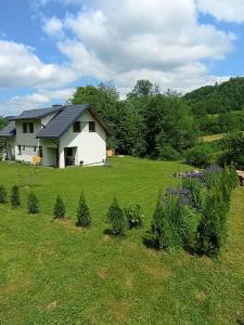 Príroda v okolí apartmánu