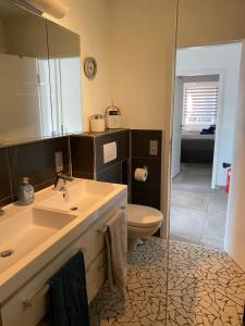 een badkamer met een wastafel, een toilet en een spiegel bij See-Oase Rurberg in Rurberg