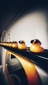 a group of rubber ducks sitting on a shelf at Orrefors Vandrarhem in Nybro