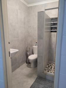 a bathroom with a toilet and a sink at Tally-Grey Cottage in Albert Falls