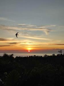 Un uccello che vola nel cielo al tramonto di Hidden Valley a Siquijor