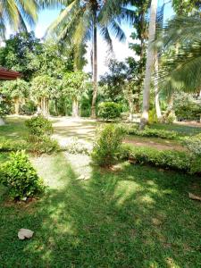 um quintal com palmeiras e relva e um edifício em Bethany Homestay em Katunayaka