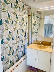 uma casa de banho com um lavatório e uma cortina de chuveiro em Chez Tata Emma em Annecy