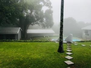 einen nebligen Hof mit einem Baum und einem Pool in der Unterkunft The Midlands Hotel in Pietermaritzburg