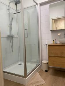 La salle de bains est pourvue d'une douche en verre et d'un lavabo. dans l'établissement Studio Montaigne, à Liège