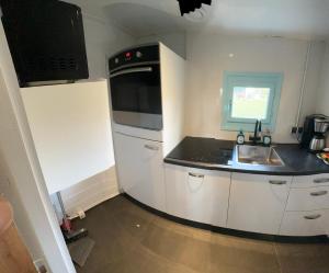 a small kitchen with a sink and a microwave at Free Bird at Hunze in Gasselternijveen