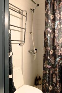 a bathroom with a shower curtain and a toilet at Hip studio near Central Park and City Center in Helsinki