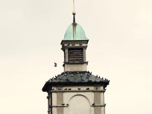 una torre dell'orologio con un uccello in cima di Hotel Hecht a Feldkirch