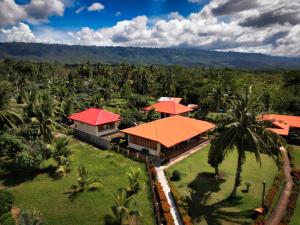 an aerial view of a resort with palm trees at Villa Alessandra Homestay in Moalboal
