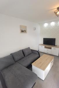 sala de estar con sofá y TV en Apartment Splendid, en Belgrado
