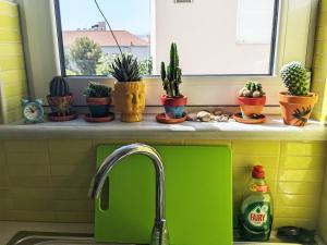 Fotografie z fotogalerie ubytování Tamar's place ve městě Chania