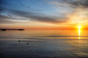 twee eenden zwemmen in het water bij zonsondergang bij Appartementhaus Bellevue Binz in Binz