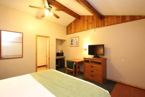 Schlafzimmer mit einem Bett und einem Schreibtisch mit einem TV in der Unterkunft Oakhurst Lodge in Oakhurst