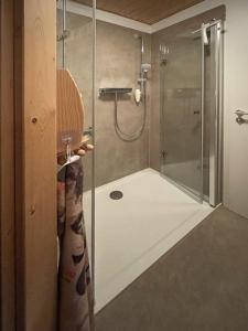 een douche met een glazen deur in de badkamer bij Ferienwohnung Arlett in Dresden