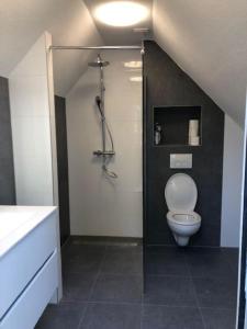 uma casa de banho com um WC, um chuveiro e um lavatório. em Gezellige Pipo met grote schommel aan het water em Medemblik