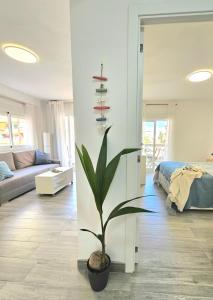 a bedroom with a plant in the middle of a room at Mavi Torre del Mar in Torre del Mar