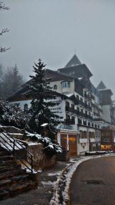 a large white building with a tree in front of it at Brand New Apartment very cosy and awesome display close to the ski slope! private parking in Sierra Nevada