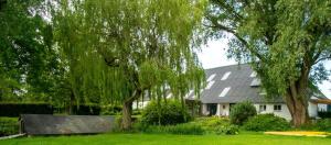 ein Haus mit weinender Weide im Hof in der Unterkunft Landgoed Wilgenheerd in Wehe-den Hoorn