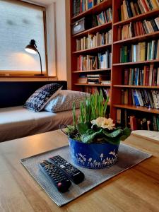 Martin´s House في مارتين: غرفة مع طاولة عليها نباتات الفخار