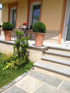 três vasos de plantas nos degraus de uma casa em Casa indipendente con giardino in città em Turim