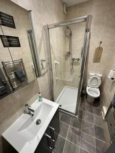 ein Bad mit einem Waschbecken, einer Dusche und einem WC in der Unterkunft Plymouth Hoe Hideaway in Plymouth