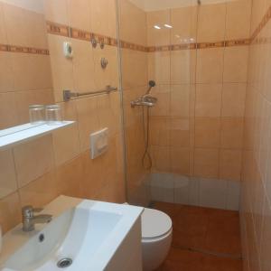 ein Bad mit einer Dusche, einem WC und einem Waschbecken in der Unterkunft Villa Fontana in Sukošan