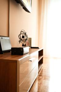 a desk with a laptop computer on top of it at Lena Apartman in Subotica