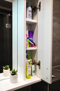 a cupboard with cleaning products in it in a bathroom at Lena Apartman in Subotica +19 photos