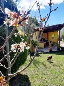 A garden outside Vasiliki's House Zacharo , 27054 , Ilias
