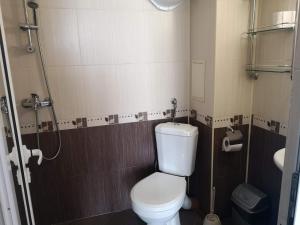 a small bathroom with a toilet and a shower at Rooms Zora in Primorsko
