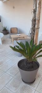 a plant sitting on a tiled floor in a living room at Scogliera apartments in Avola