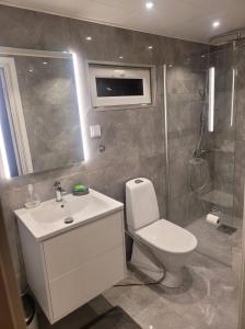 uma casa de banho com um WC, um lavatório e um chuveiro em 2 bed room Quite and central house in Orebro em Örebro