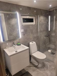 een badkamer met een toilet, een wastafel en een douche bij 2 bed room Quite and central house in Orebro in Örebro