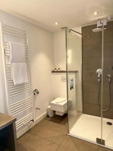 a bathroom with a shower stall and a toilet at Strandhotel in Wyk auf Föhr +34 photos