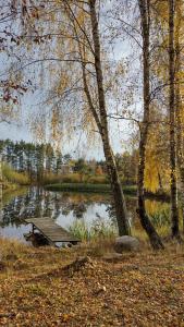 uma pequena doca ao lado de um lago em Domek Letniskowy ZŁOTY KARAŚ em Widna Góra