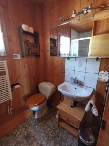 a bathroom with a toilet and a sink at Chalet traditionnel avec jacuzzi extérieur in Bex