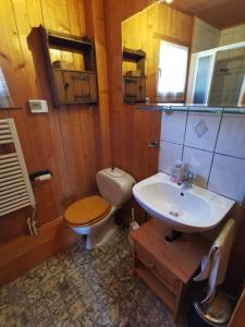 Koupelna v ubytování Chalet traditionnel avec jacuzzi extérieur