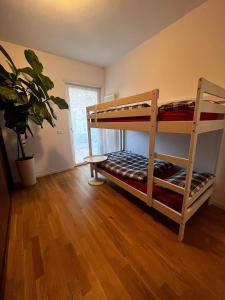 a room with two bunk beds and a potted plant at Garden & Pool Perugini in Nago-Torbole +36 photos
