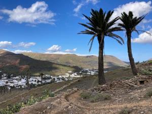 two palm trees on a hill with a town in the background at Apartamento Pirul in Haría