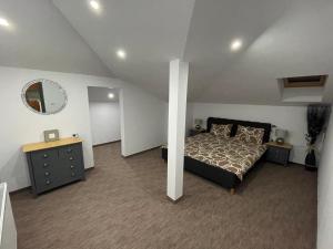 a bedroom with a bed and a dresser and a mirror at Cozy Apartament with 2Rooms in Timişoara