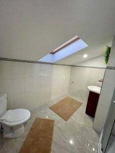 a bathroom with a toilet and a sink and a skylight at Cozy Apartament with 2Rooms in Timişoara +4 photos