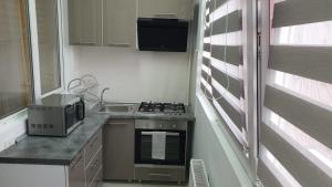 a small kitchen with a stove and a sink at Luxury apartament in Dudu