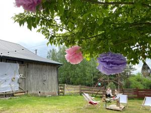 a woman sitting in a chair in a yard next to a barn at Siedlisko Barycz Kolonia, Dom całoroczny na wyłączność - 50 m2 6 osobowy z 2 pokojami, teren 2 hektary wśród lasów i łąk in Zwoleń +72 photos