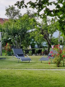 zwei blaue Stühle sitzen im Gras in einem Park in der Unterkunft DTS Appartements in Putbus