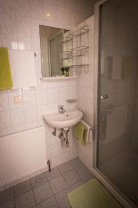 y baño con lavabo y ducha. en Weingut Krell, en Mitterretzbach