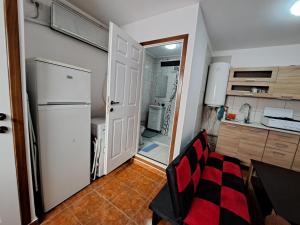 Cuina o zona de cuina de Apartament un dormitor și living la curte Corbu