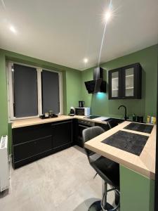 a kitchen with green walls and a table with chairs at Appart&Spa République in Dijon