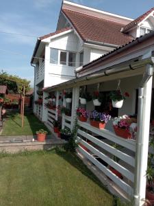 a white house with potted plants on a fence at CAZARE TURISM PRISLOP in Haţeg